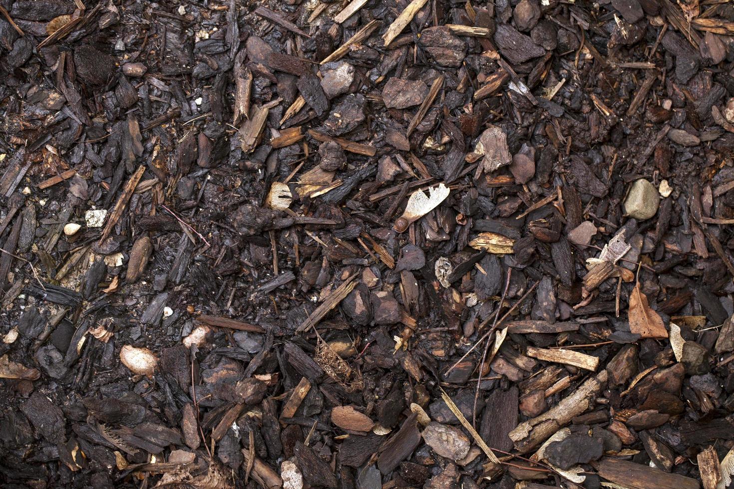 Herbst Herbst trockene Blätter saisonale Flora Konzept foto