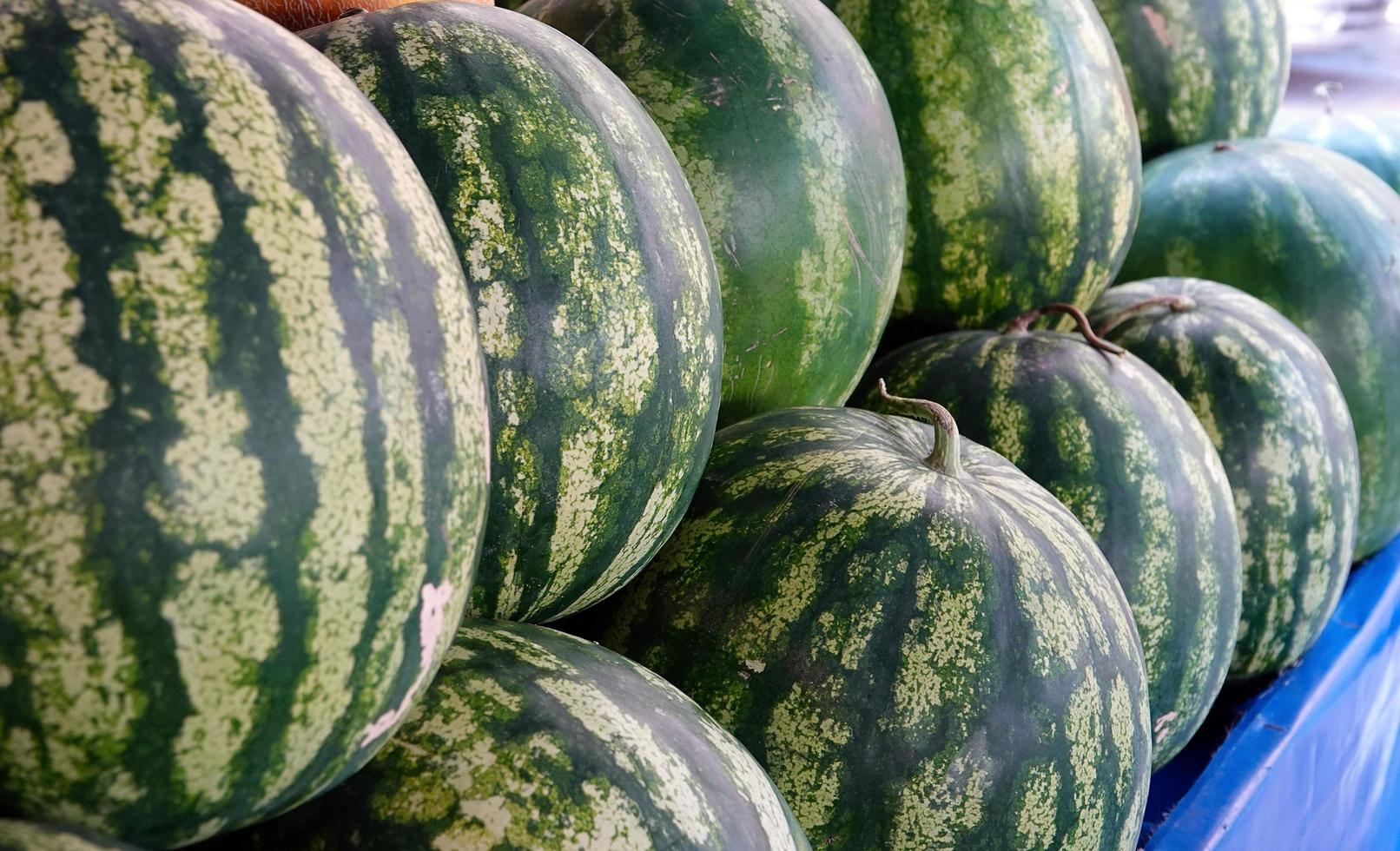 leckere Bio-Wassermelone im Supermarkt foto