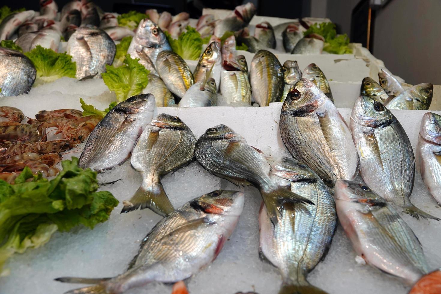 rohes Fischfutter auf Eis foto