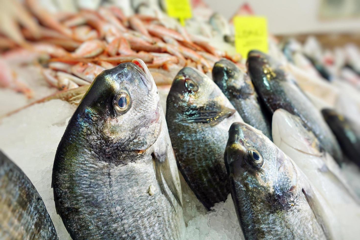 Fischfutter in einem Fischmarktstand foto