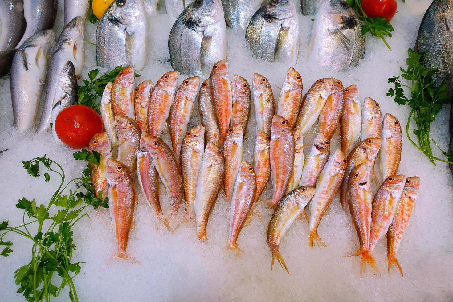 Fischfutter in einem Fischmarktstand foto