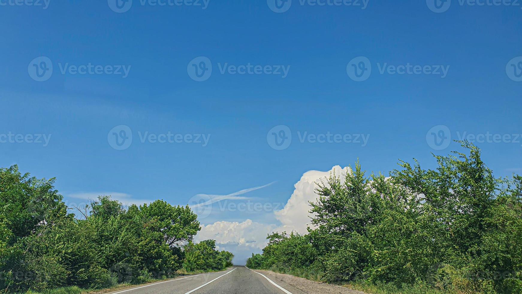 blauer Himmel mit Wolken, fliegenden Vögeln und grünen Zweigen. foto