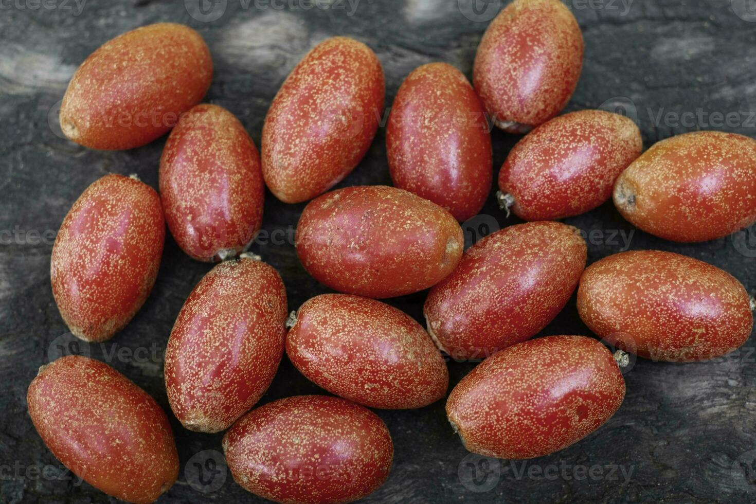 Reife elaeagnus latifolia Frucht auf Holz verschwommenen Hintergrund foto