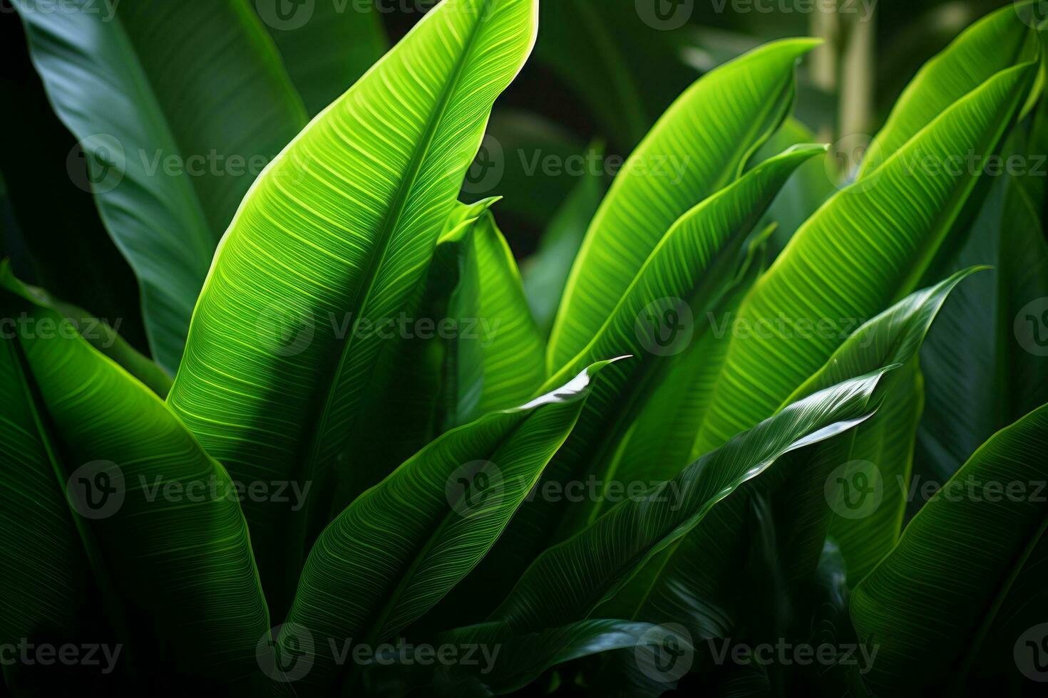 ein schließen oben von Grün Blätter auf ein dunkel Hintergrund generativ ai foto