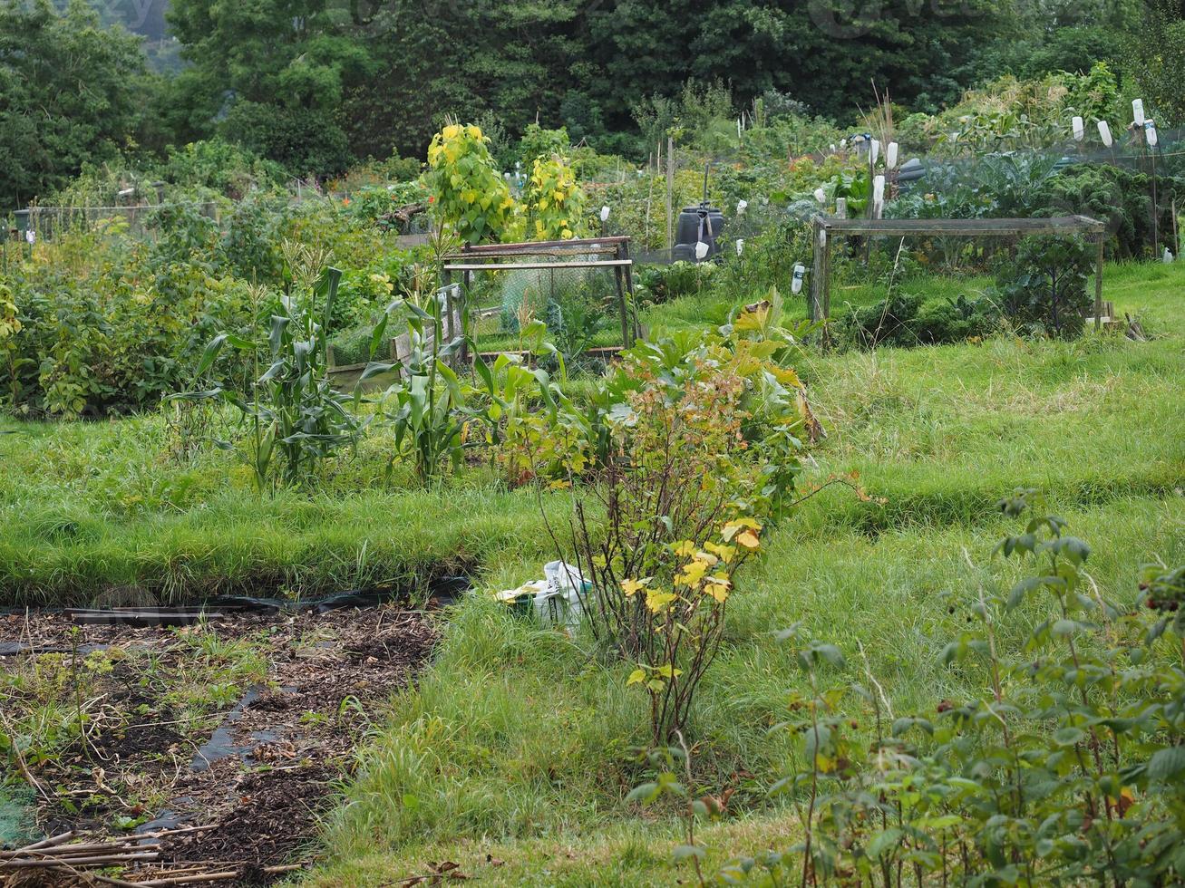 Kleingarten Gemeinschaftsgarten foto