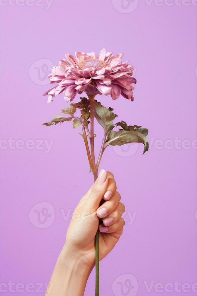 Blumen- Trend Liebe Natur Neon- Valentinstag Gänseblümchen Blume Zerbrechlichkeit Hand Kopieren Einfachheit Raum foto
