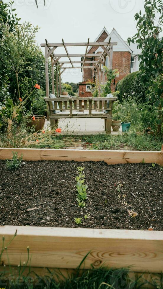 ein hölzern angehoben Gartenbett im Hinterhof Garten foto