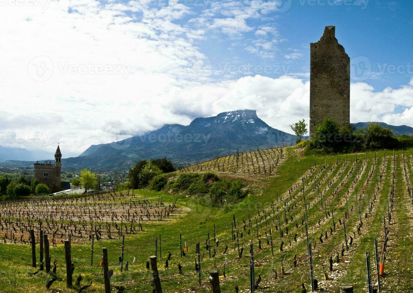 grün Weinberge von Chignin, Savoyen, Frankreich foto