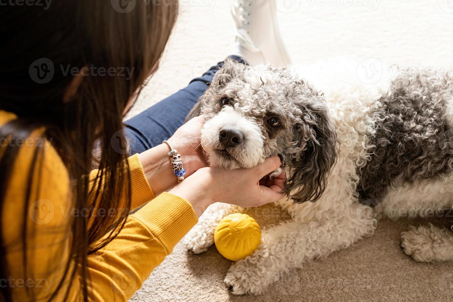 schöne frau mit verspieltem jungem hund, der spaß zu hause hat foto