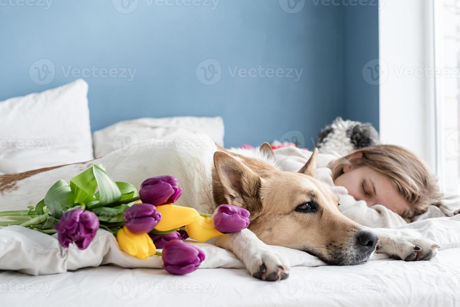 glückliche junge frau, die mit ihren hunden im bett liegt foto