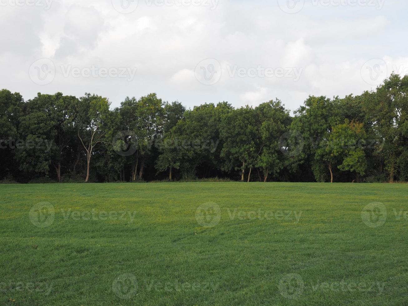 großer Stadtpark foto