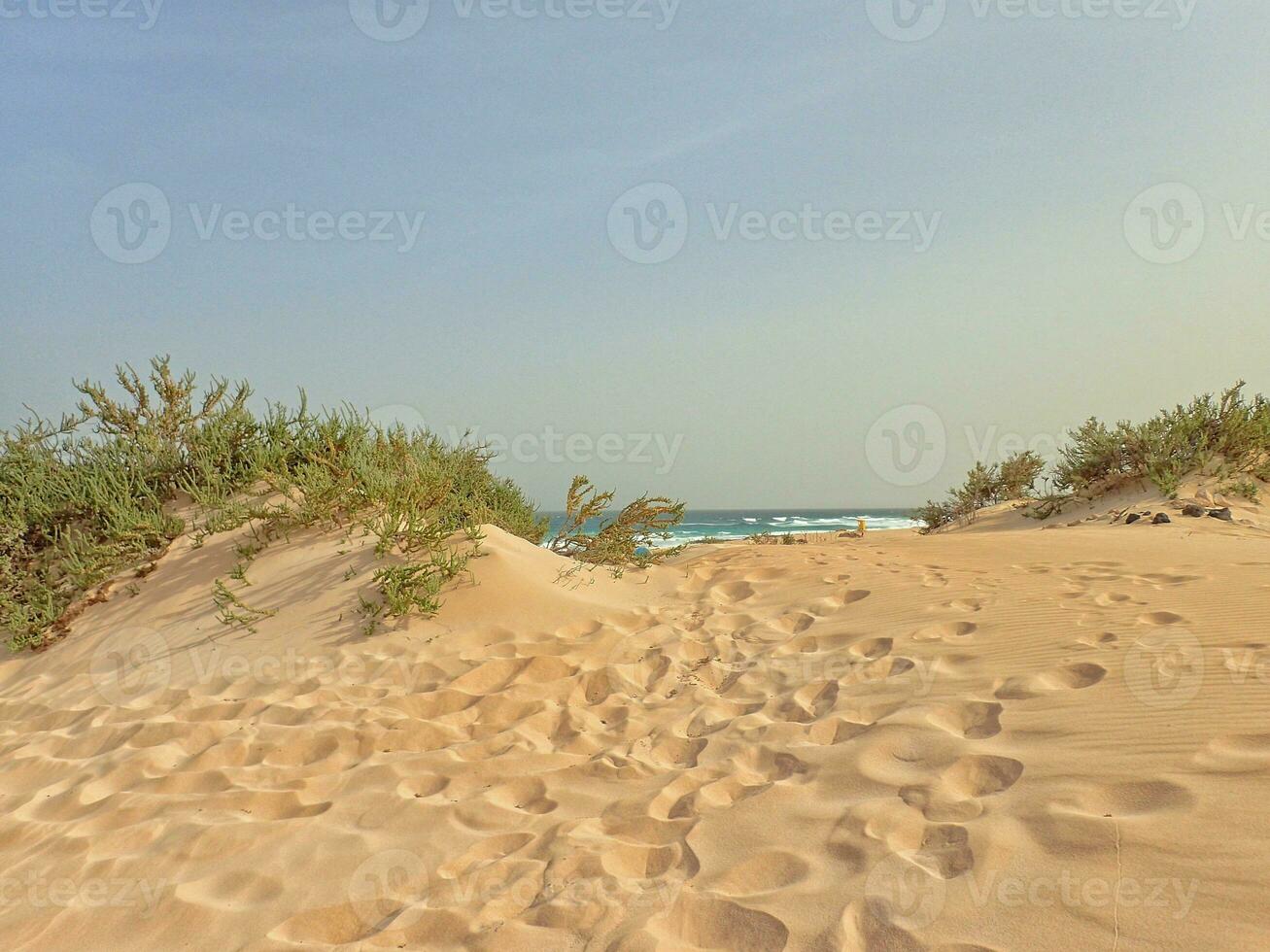 Landschaft von das Spanisch Kanarienvogel Insel fuerteventura mit Dünen und das Ozean foto