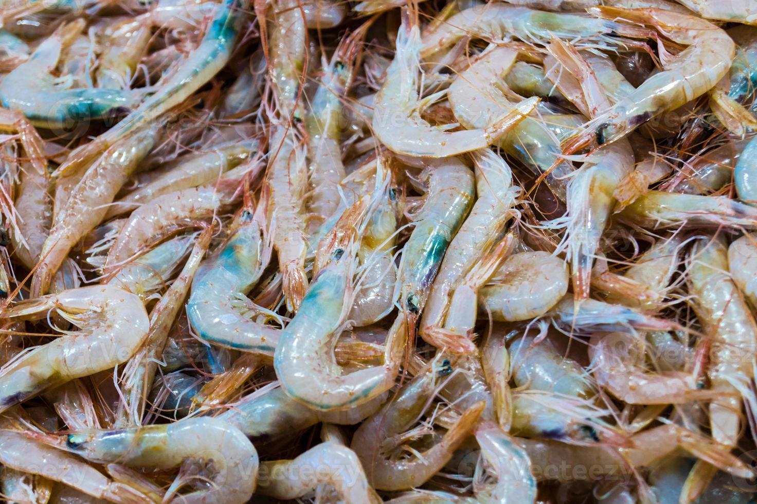 Garnelen und Hummer auf einem spanischen Fischmarkt foto