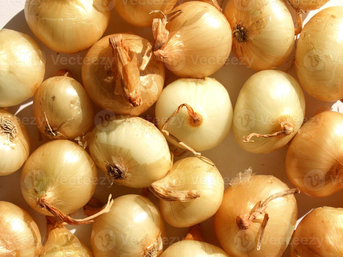 Zwiebeln, nützlich als Hintergrund foto