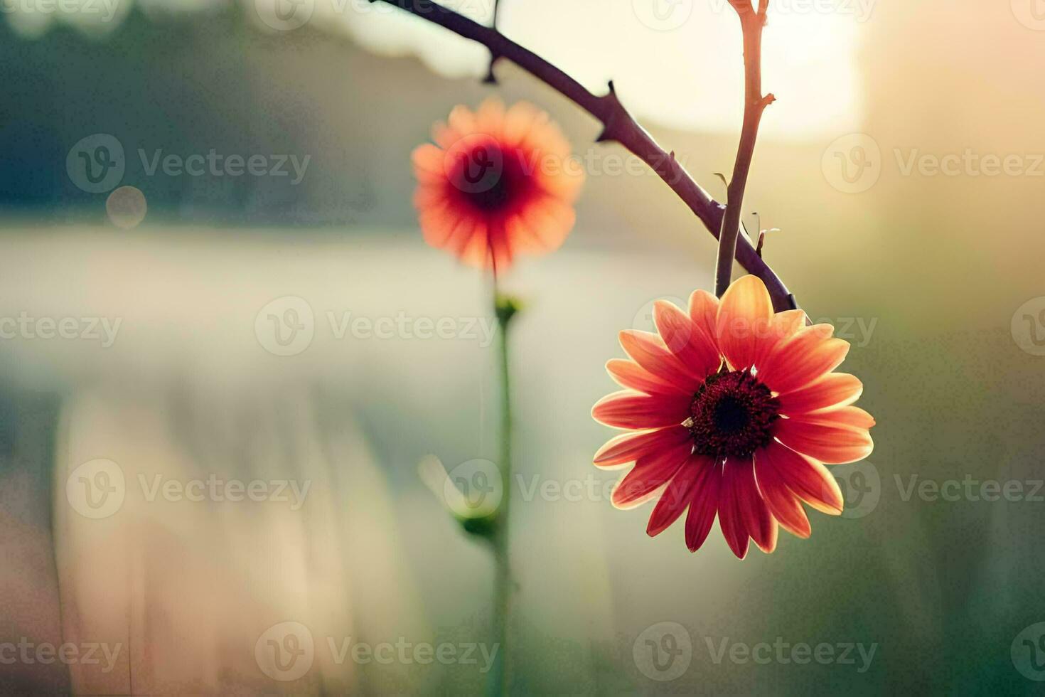 zwei rot Blumen sind Stehen im Vorderseite von ein Feld. KI-generiert foto