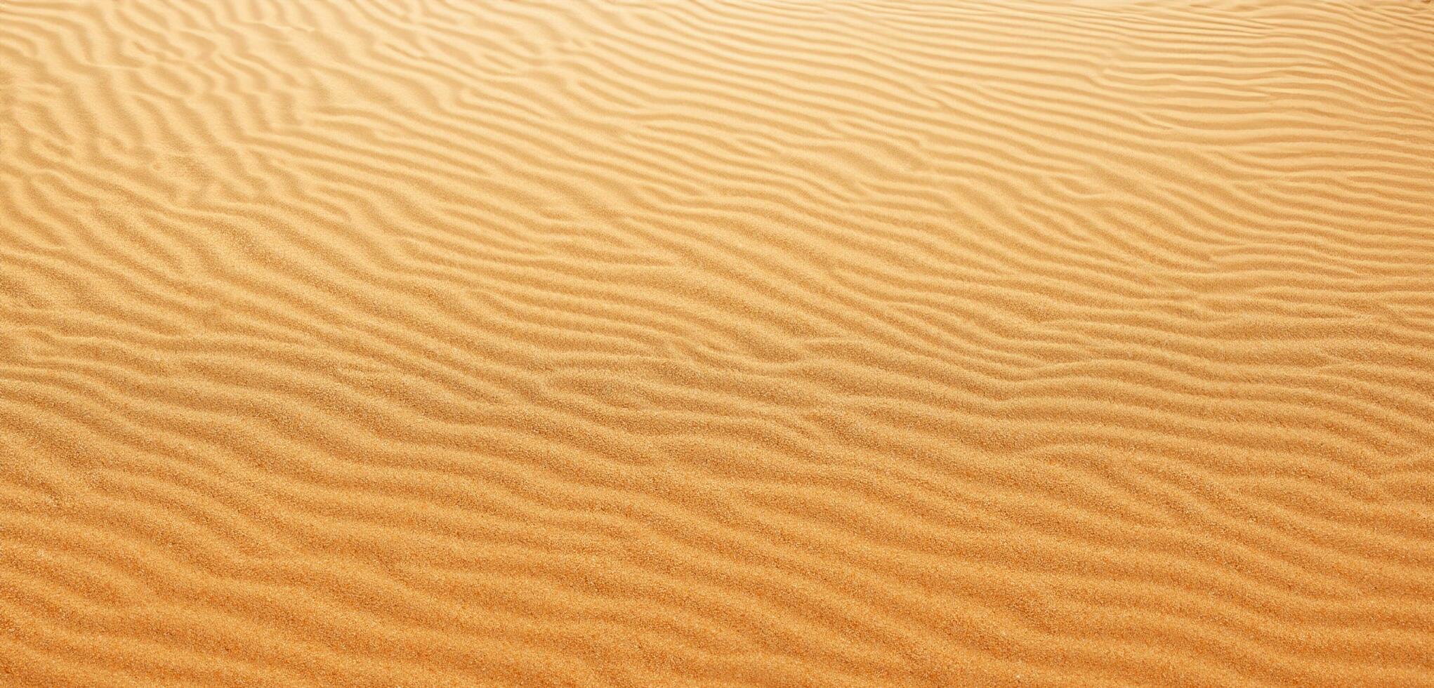 Sand Hintergrund Panorama von das Wüste Falten von Sand geblasen durch das Wind foto