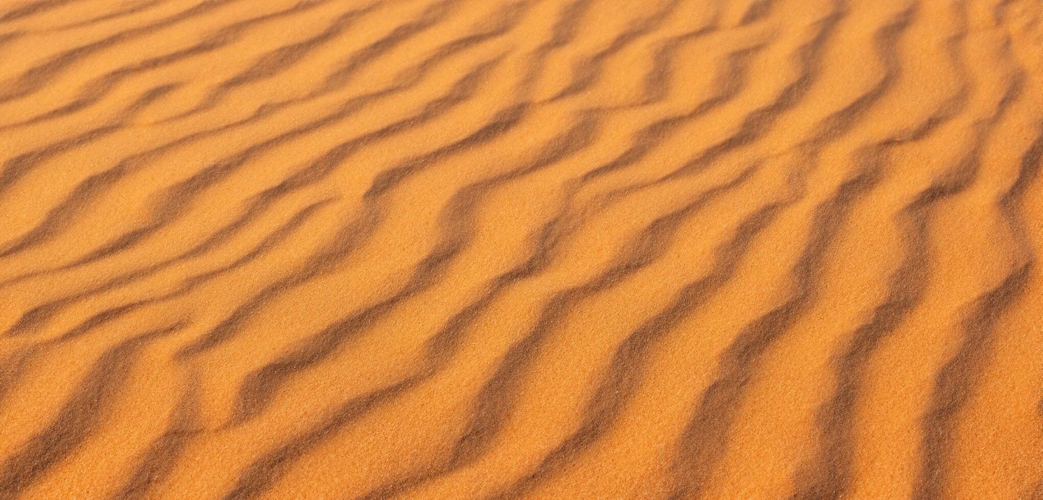 Sand Hintergrund Panorama von das Wüste Falten von Sand geblasen durch das Wind foto