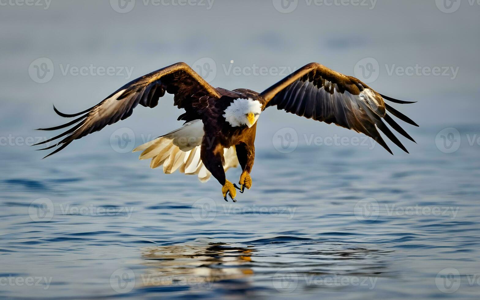 meisterhaft Majestät, ein atemberaubend Blick von das kahl Adlers befehlend Flug. ai generiert foto