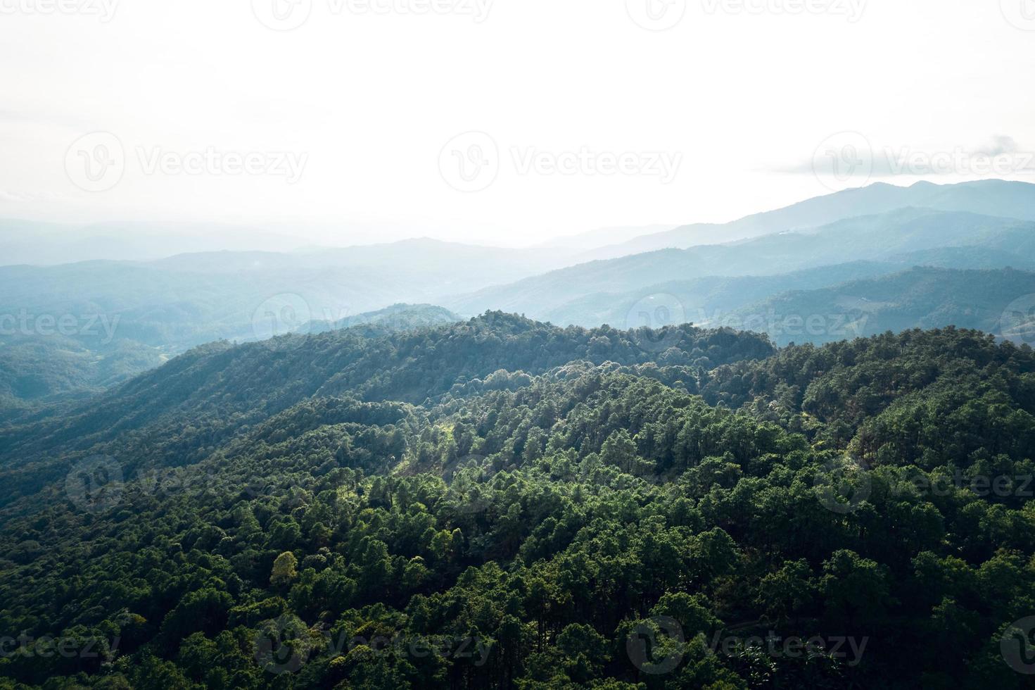 Berge und sommergrüne Wälder foto