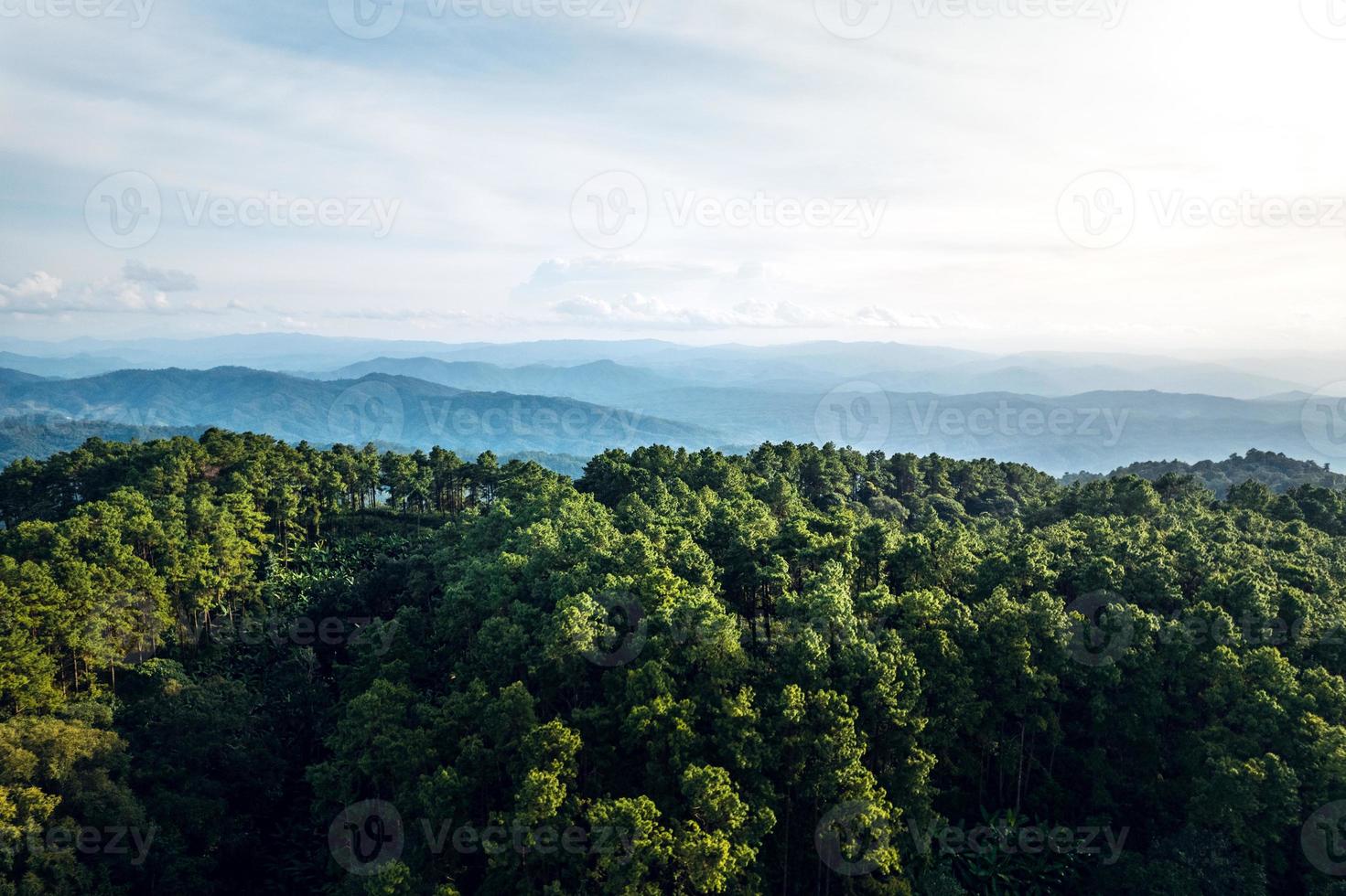 Berge und sommergrüne Wälder foto