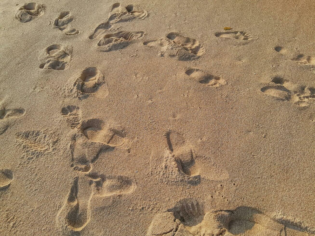 Fußabdruck texturiert von Mensch Füße auf das Sand Küsten foto