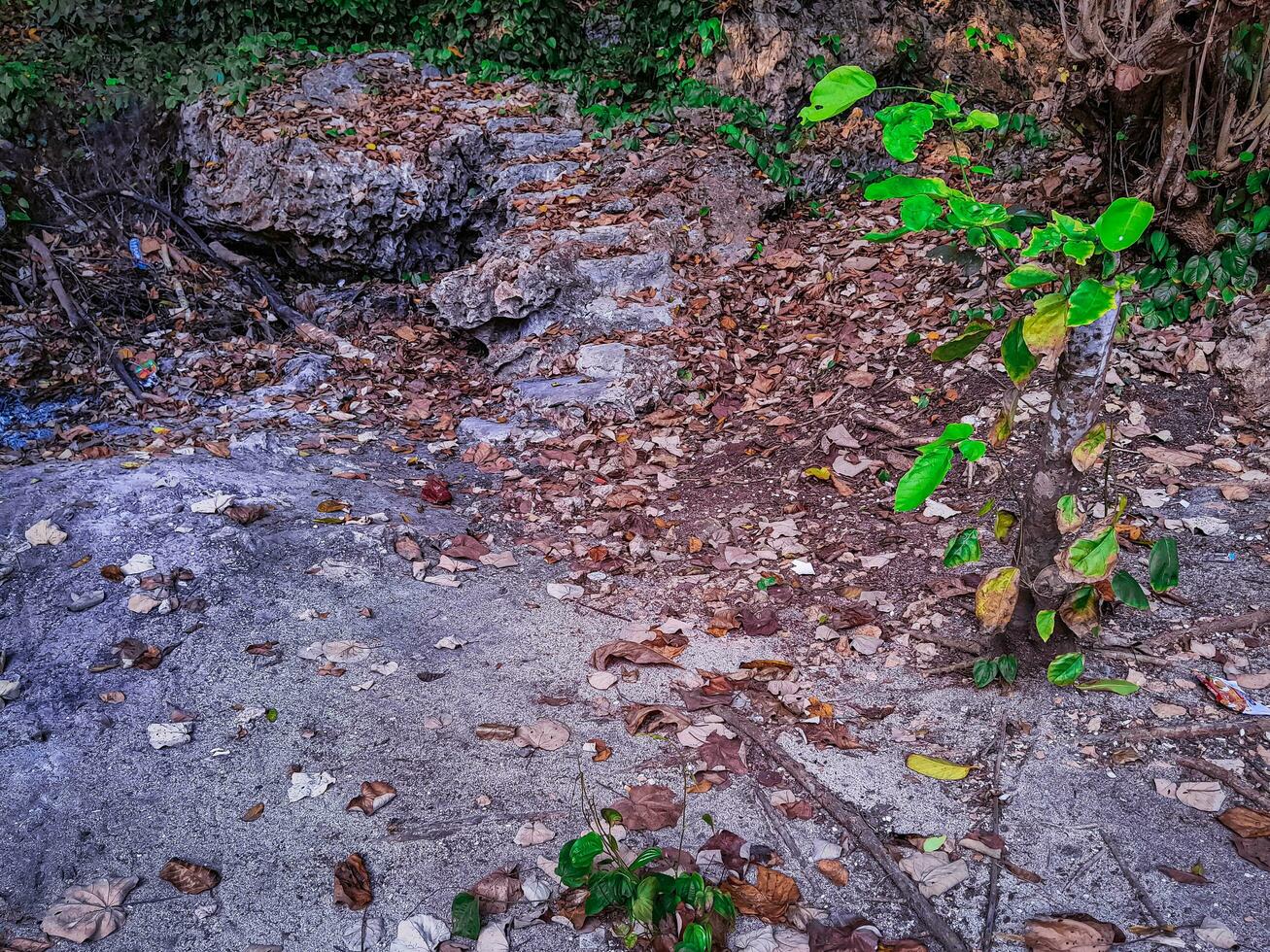 Felsen Landschaft und Meer Sand im das Küsten foto