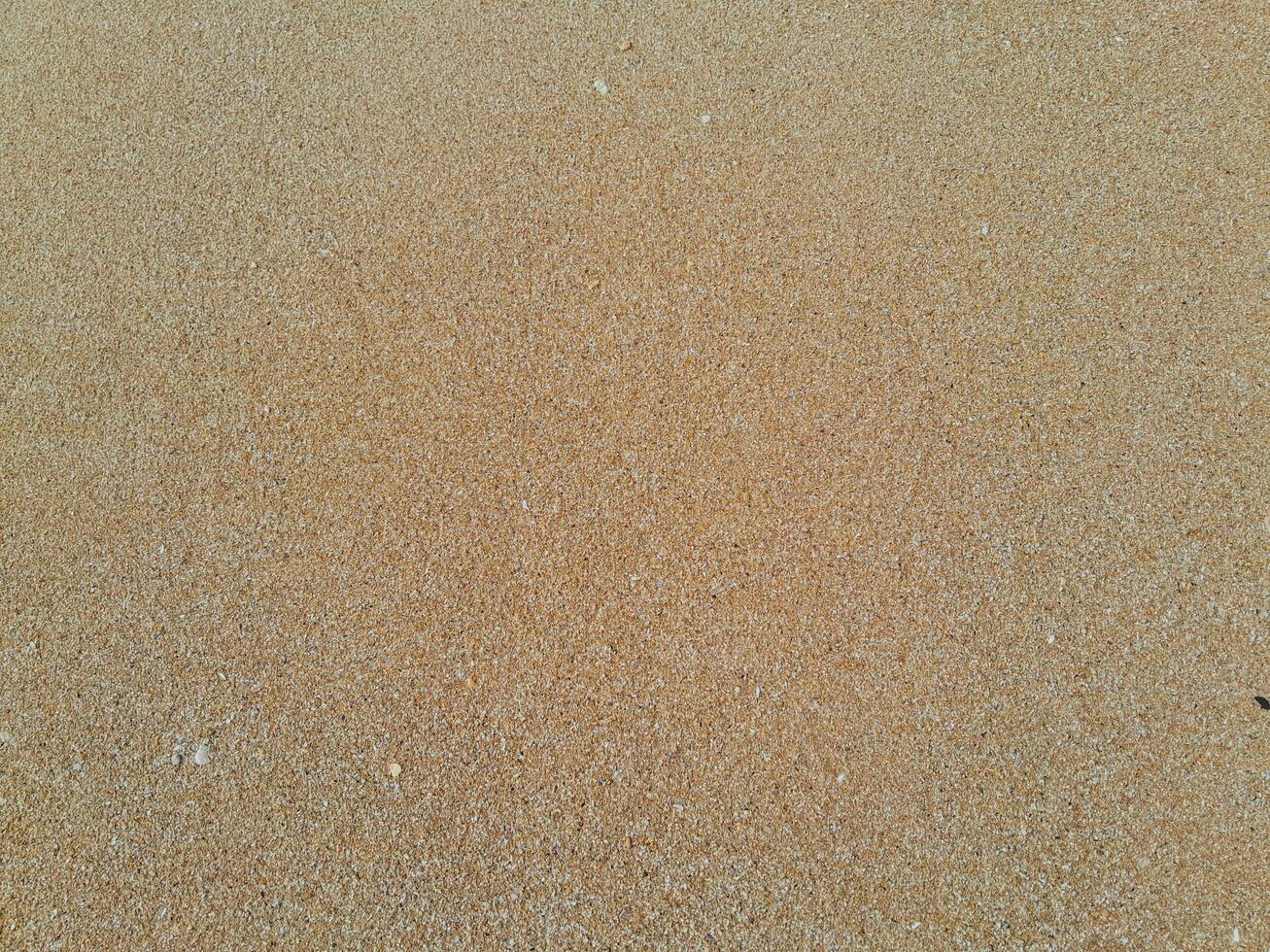 voll Rahmen Schuss von schön Strand Sand im das Sommer- Sonne. foto