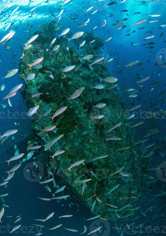 Liberty Schiffswrack in Tulamben foto