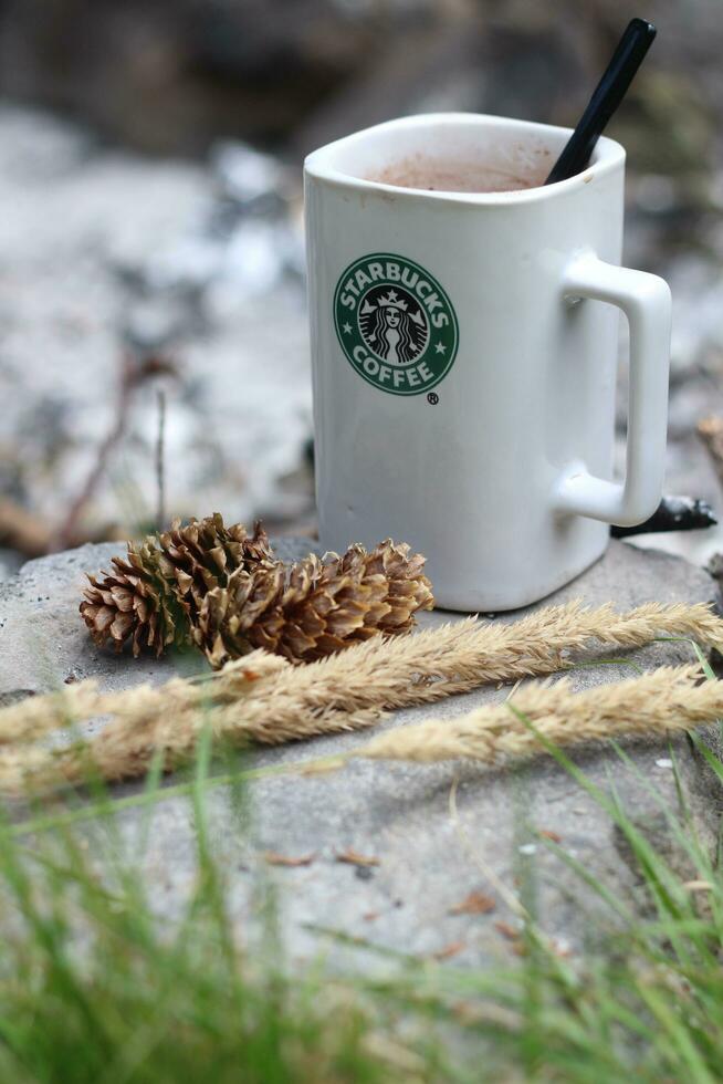 Washington, USA - - Januar 13 2023 Starbucks Kaffee Becher platziert auf Felsen um ein Camping Lagerfeuer mit Kiefer Zapfen und Schilf foto