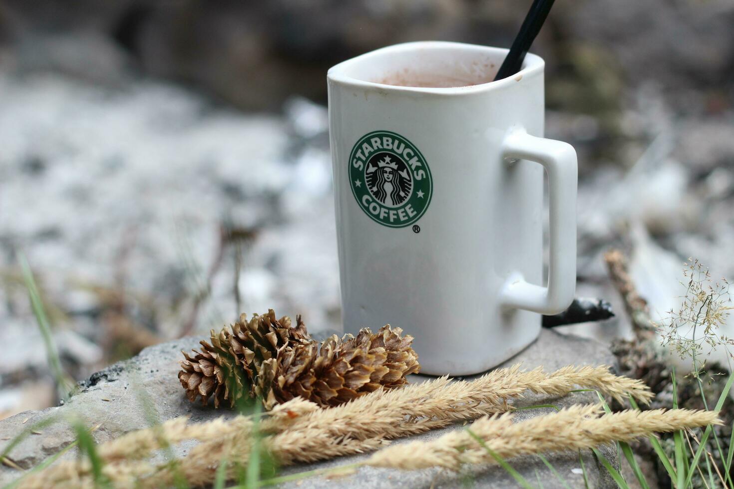 Washington, USA - - Januar 13 2023 Starbucks Kaffee Becher platziert auf Felsen um ein Camping Lagerfeuer mit Kiefer Zapfen und Schilf foto