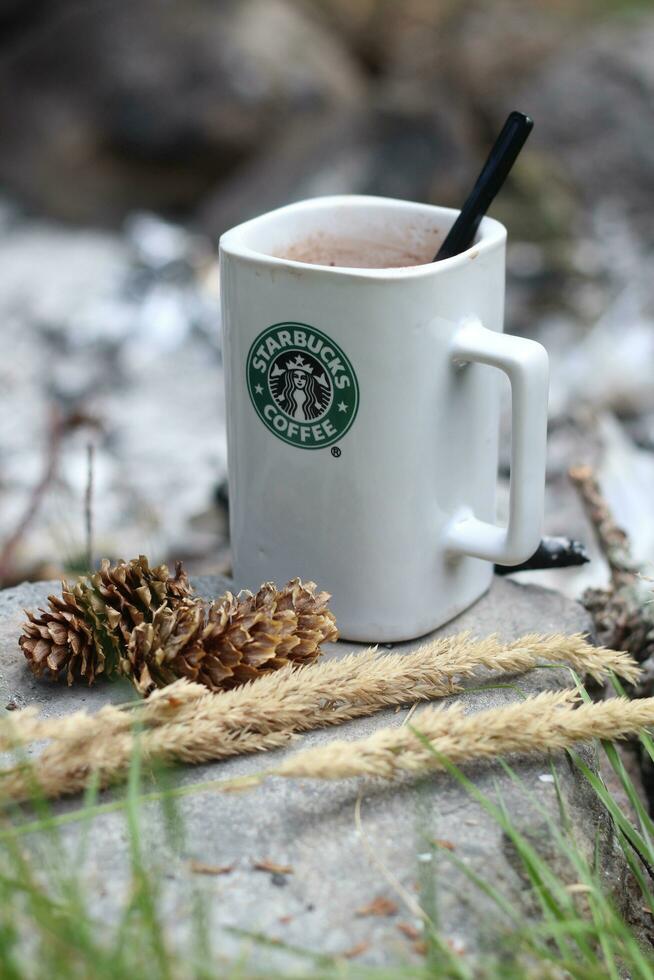 Washington, USA - - Januar 13 2023 Starbucks Kaffee Becher platziert auf Felsen um ein Camping Lagerfeuer mit Kiefer Zapfen und Schilf foto