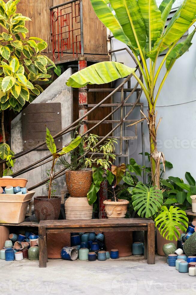 Sammlung von Töpfe und Pflanzen schmücken Eingang zu das Blumen- speichern. foto