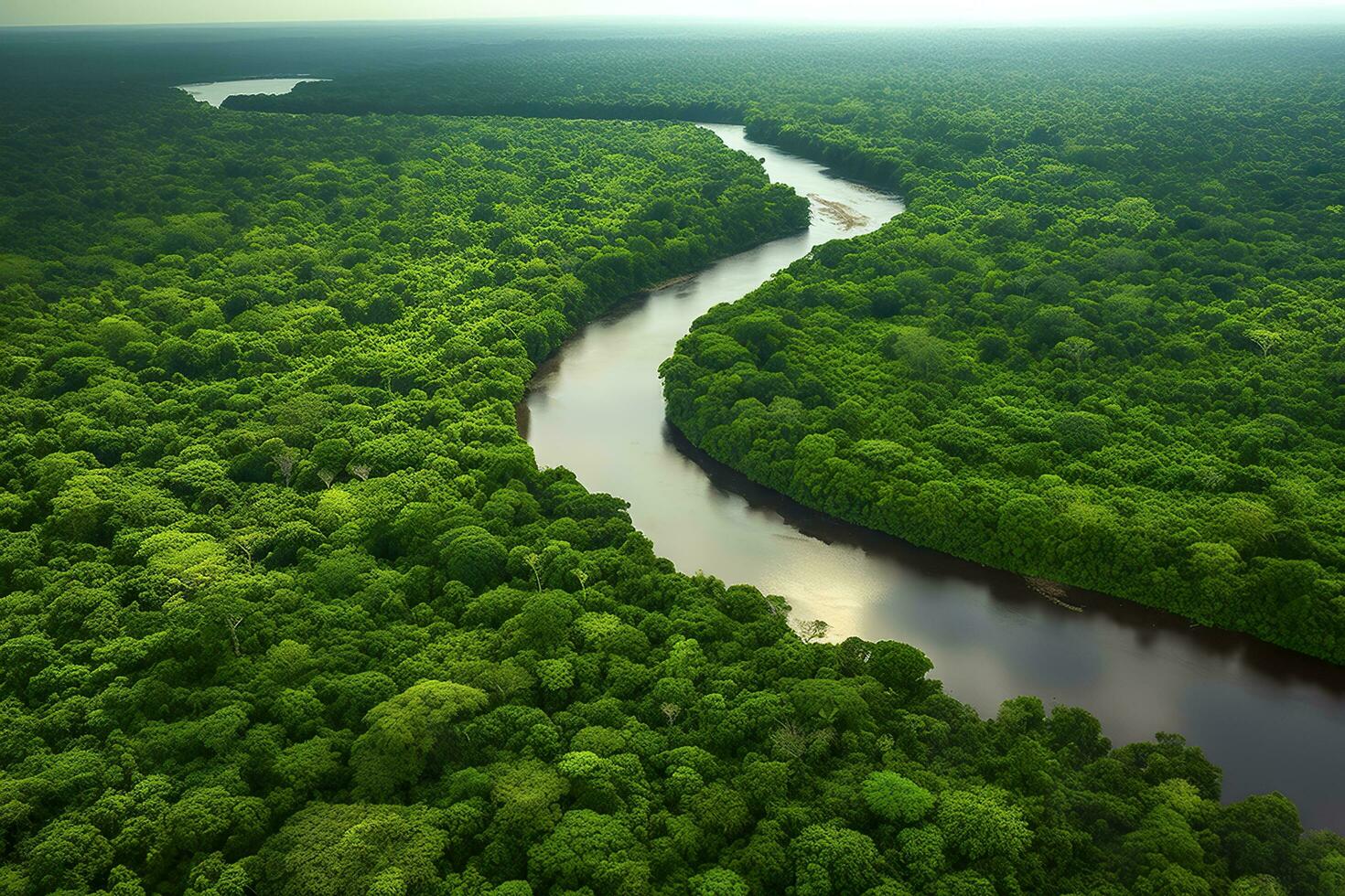 Antenne Aussicht von das Amazonas Urwald Landschaft mit Fluss biegen. generativ ai foto