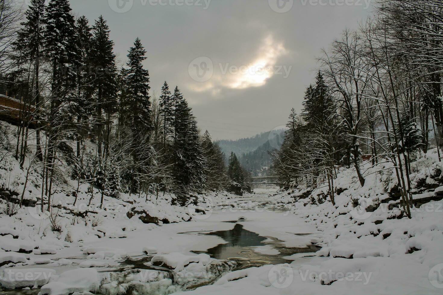 Berg Fluss im Winter. schneebedeckt Schlucht im das Karpaten. gefroren Wasser im ein Strom fließend unter das Steine. Hintergrund von Berge und Wald. Atmosphäre von Weihnachten und Neu Jahr foto