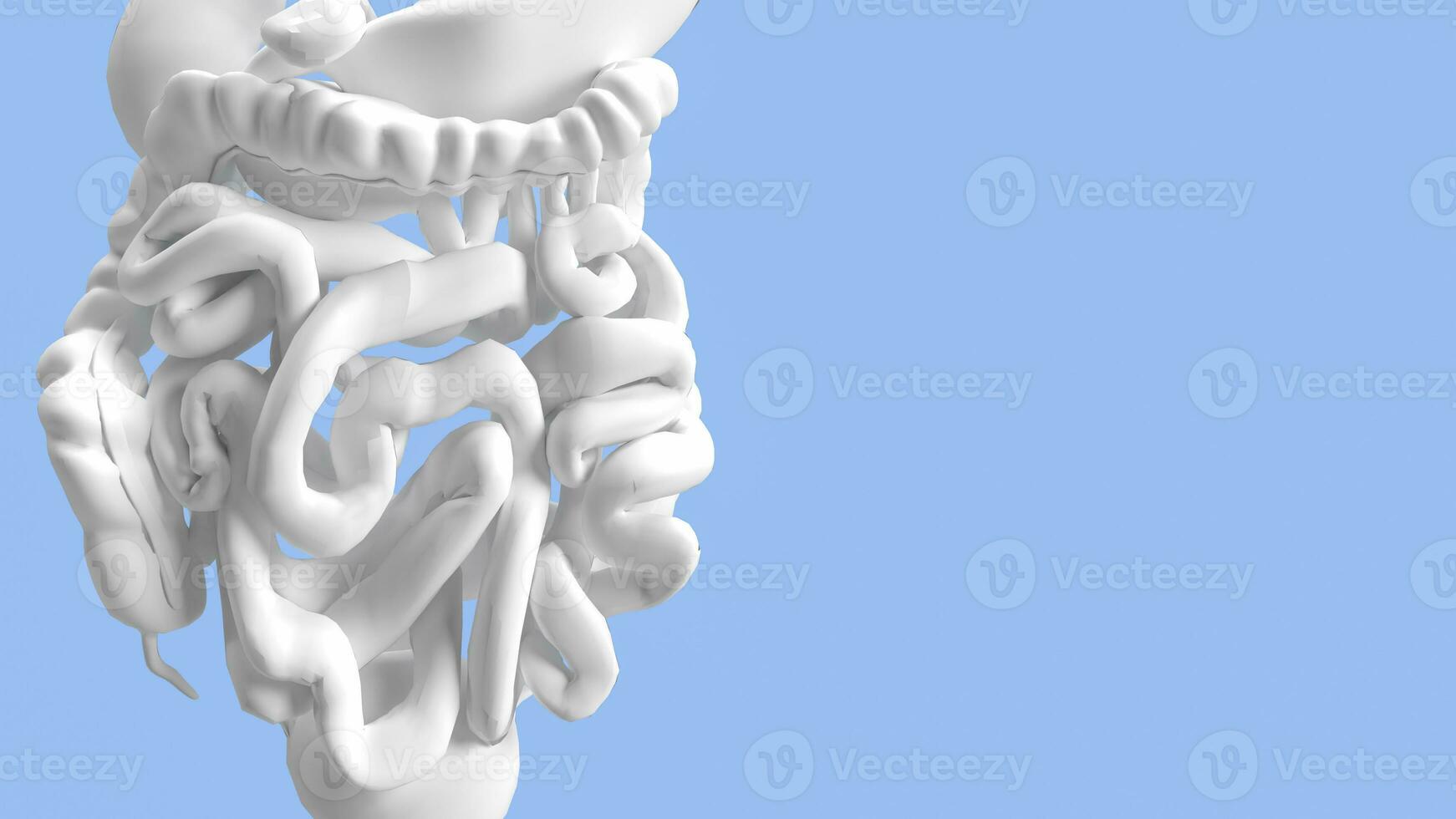 das Eingeweide zum Gesundheit und medizinisch Konzept 3d Rendern foto