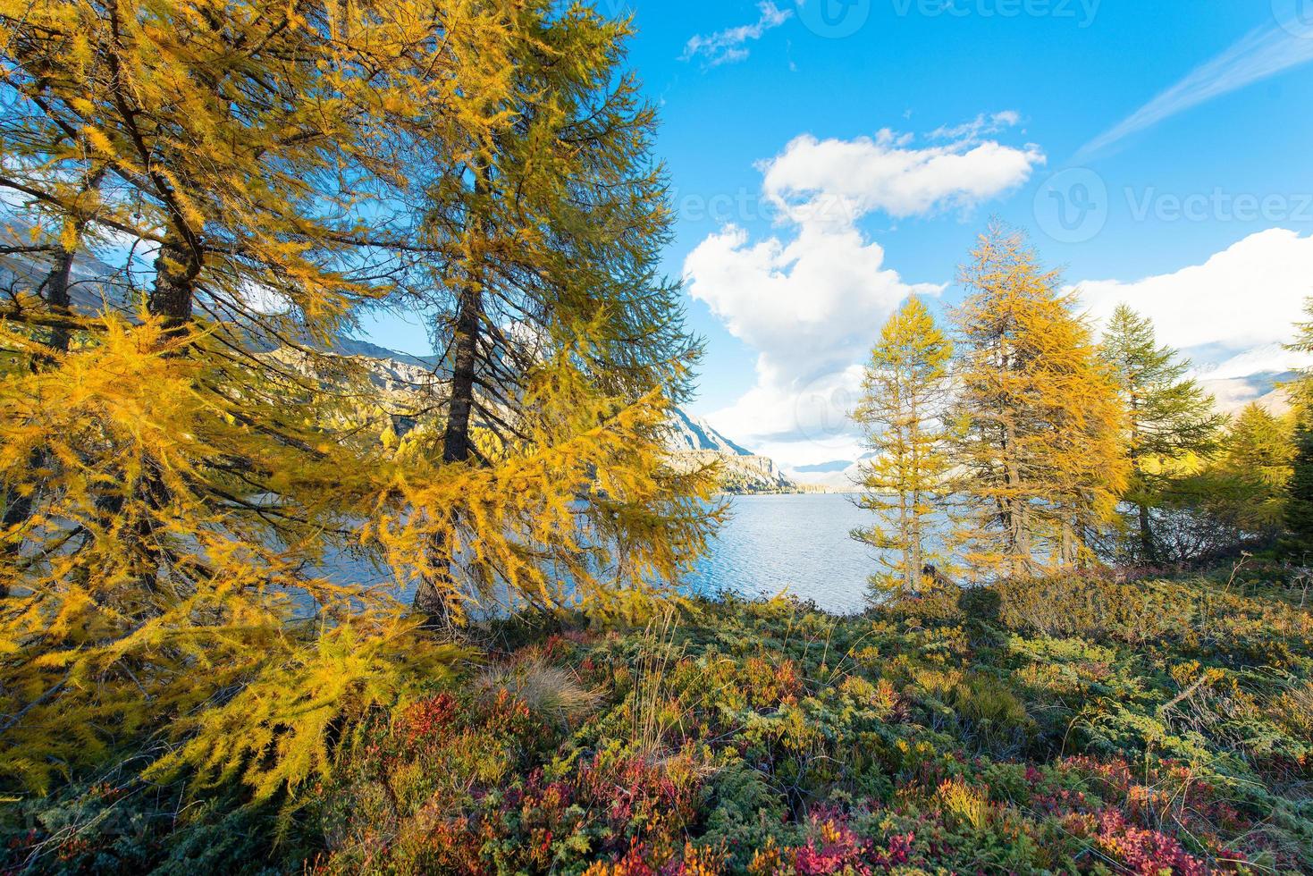 Herbstfarben in der Nähe eines Alpensees foto