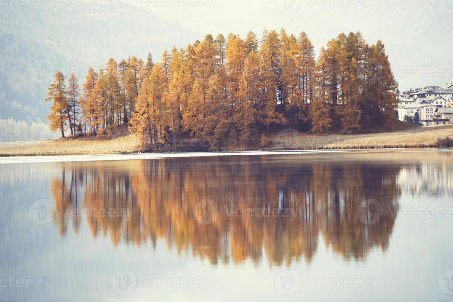 herbstliche Lärchen spiegeln sich im Alpensee foto