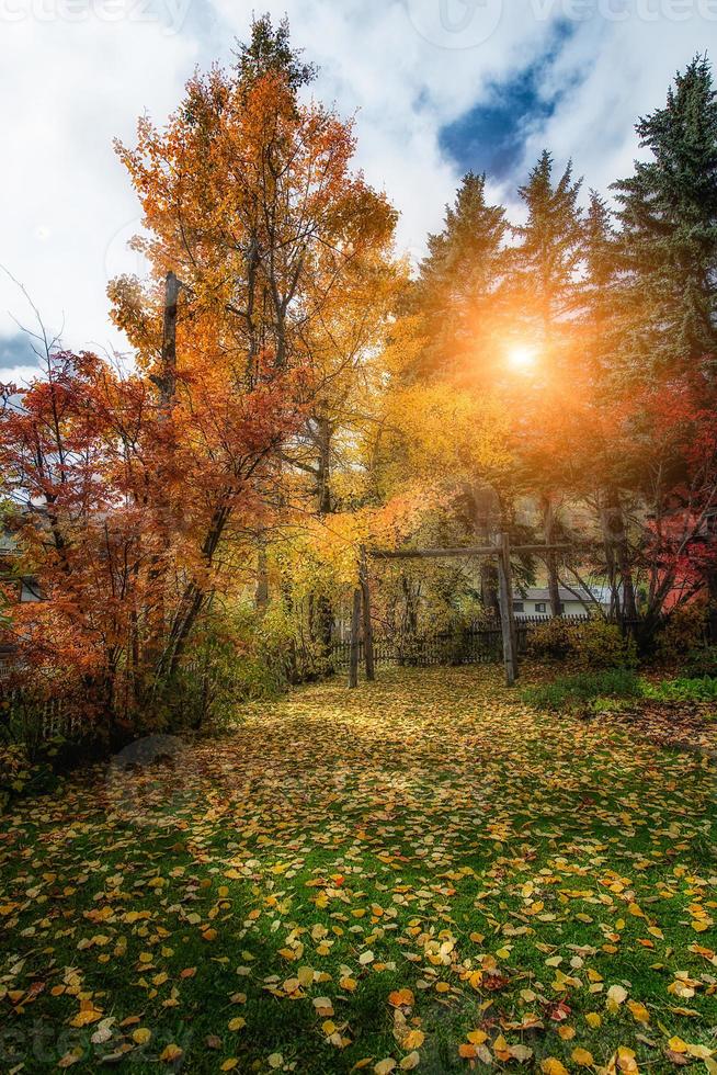 Herbstfarben in den Schweizer Alpen foto