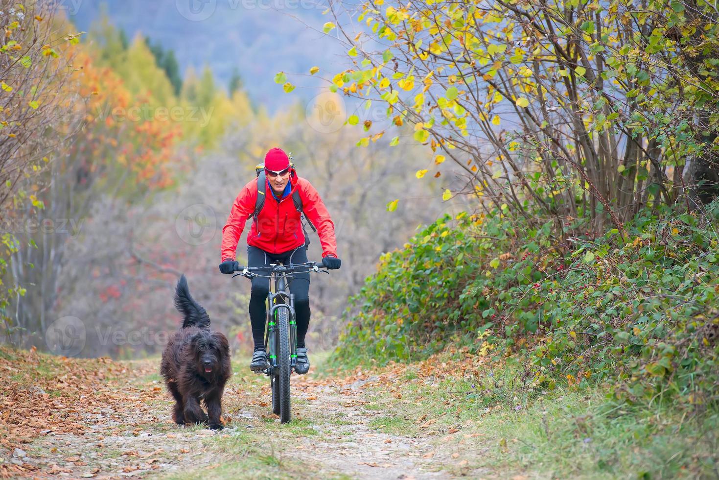 Mann auf einem Fahrrad mit ihrem Hund auf der Straße im Wald foto