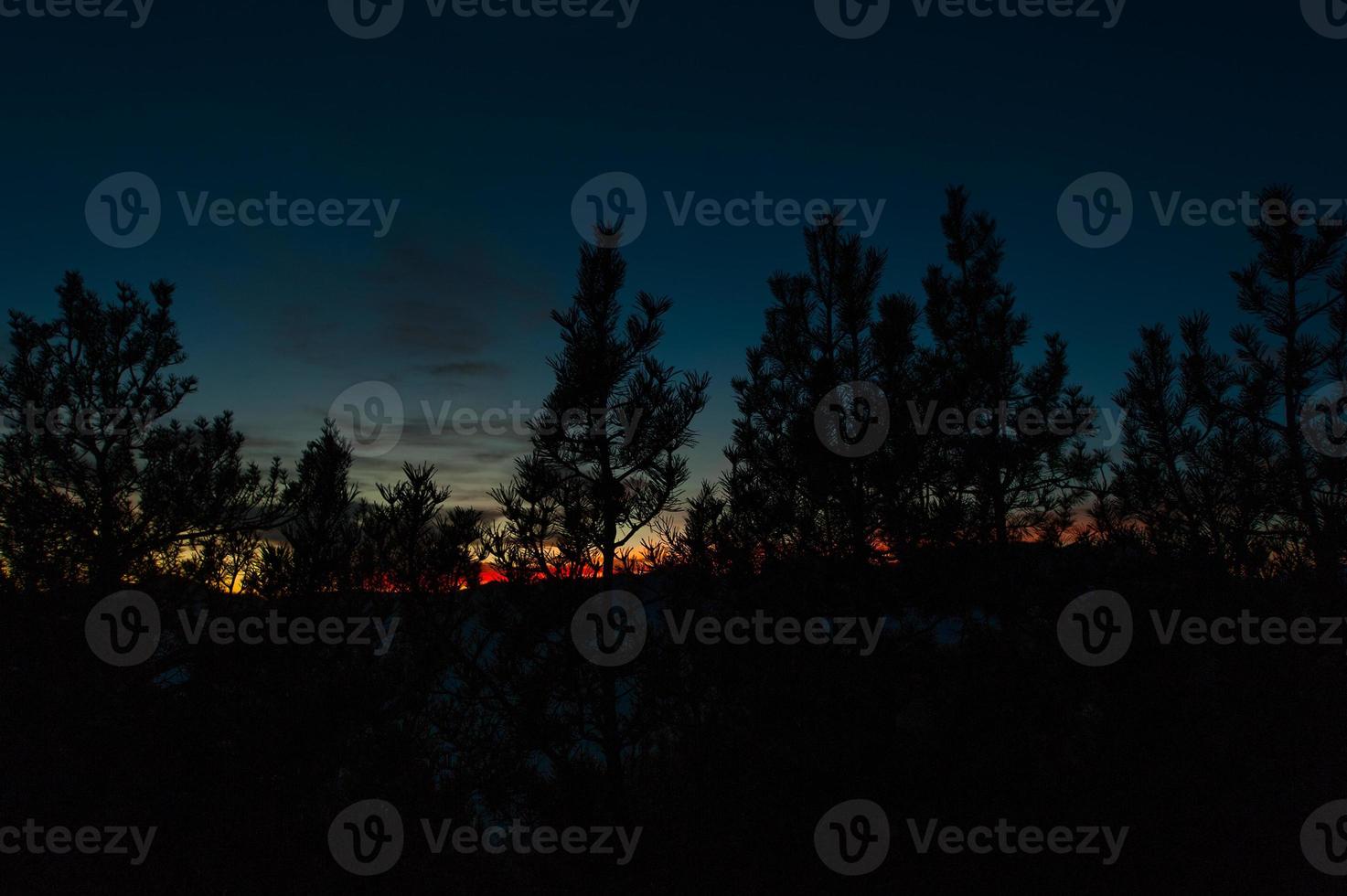 roter Sonnenuntergang im Schwarzwald foto