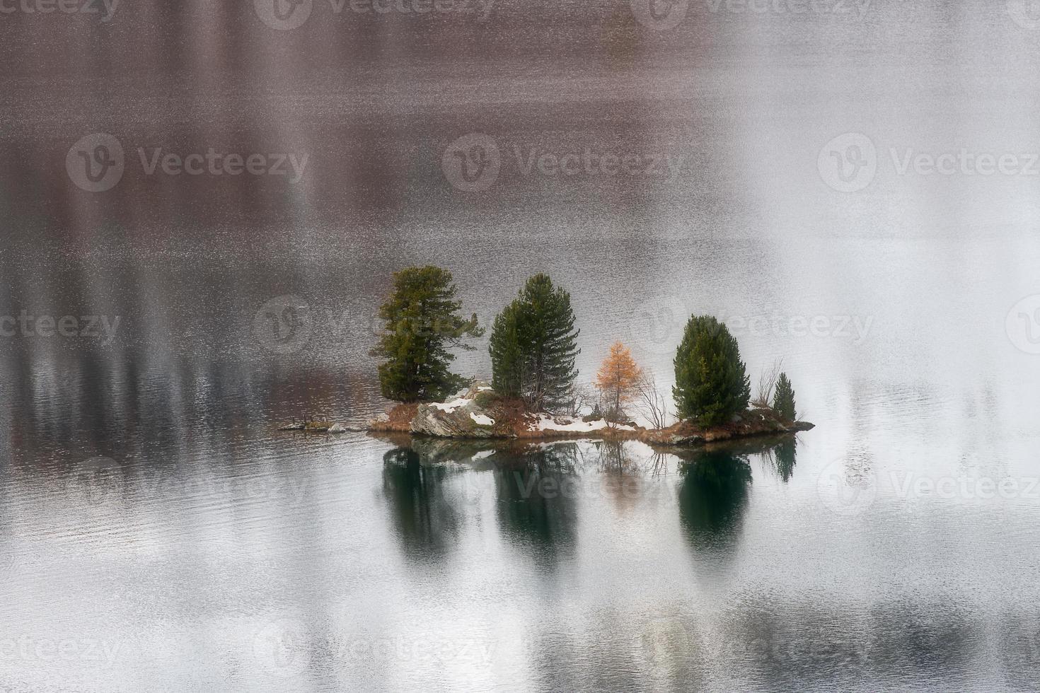 kleine Insel mit Pflanzen in einem Bergsee foto