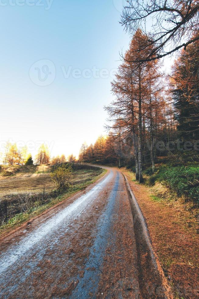 kleine Bergstraße mit Herbstfarben und Tannennadeln am Boden foto