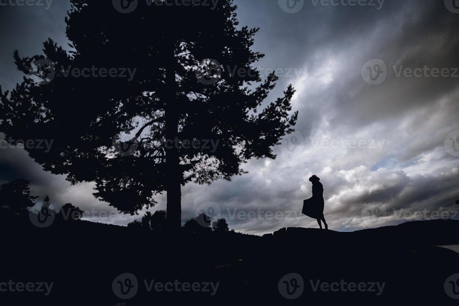 Silhouette einer Frau in einem Kleid, die unter einem Baum am Himmel steht foto