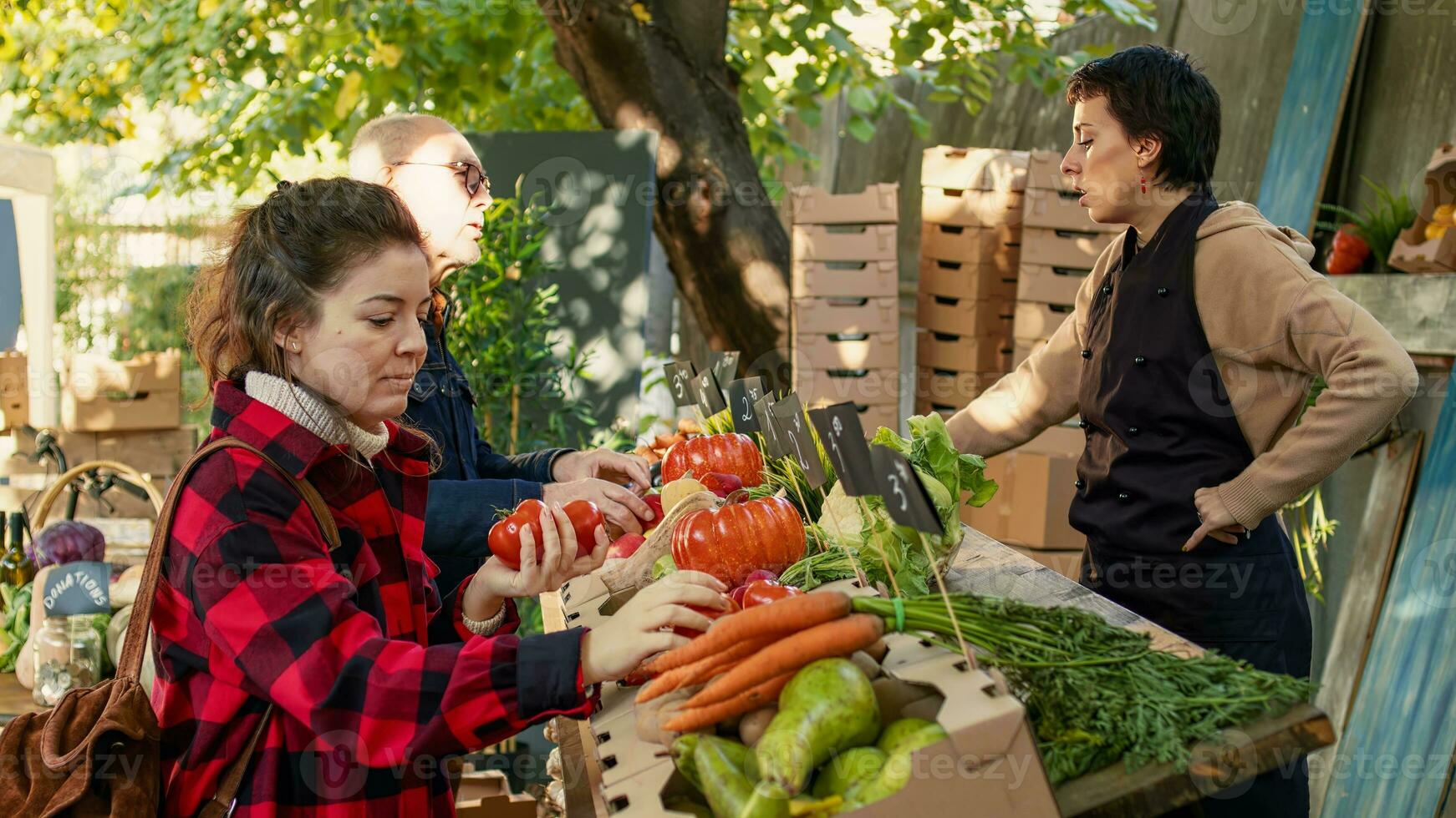 Bauern Markt klein Geschäft Inhaber Verkauf saisonal gesund organisch produzieren von lokal Garten, Marktplatz. weiblich Kunde Kauf produzieren saisonal Früchte und Gemüse beim Bauern Markt, Stall foto