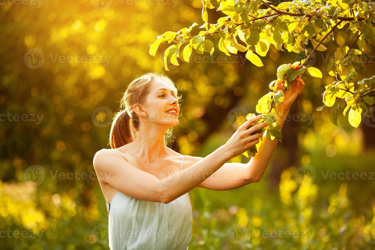 glückliche Frau pflückt einen Apfel vom Baum foto