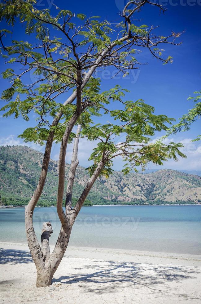 Areia Branca tropischer Strandblick und Küste in der Nähe von Dili in Osttimor foto