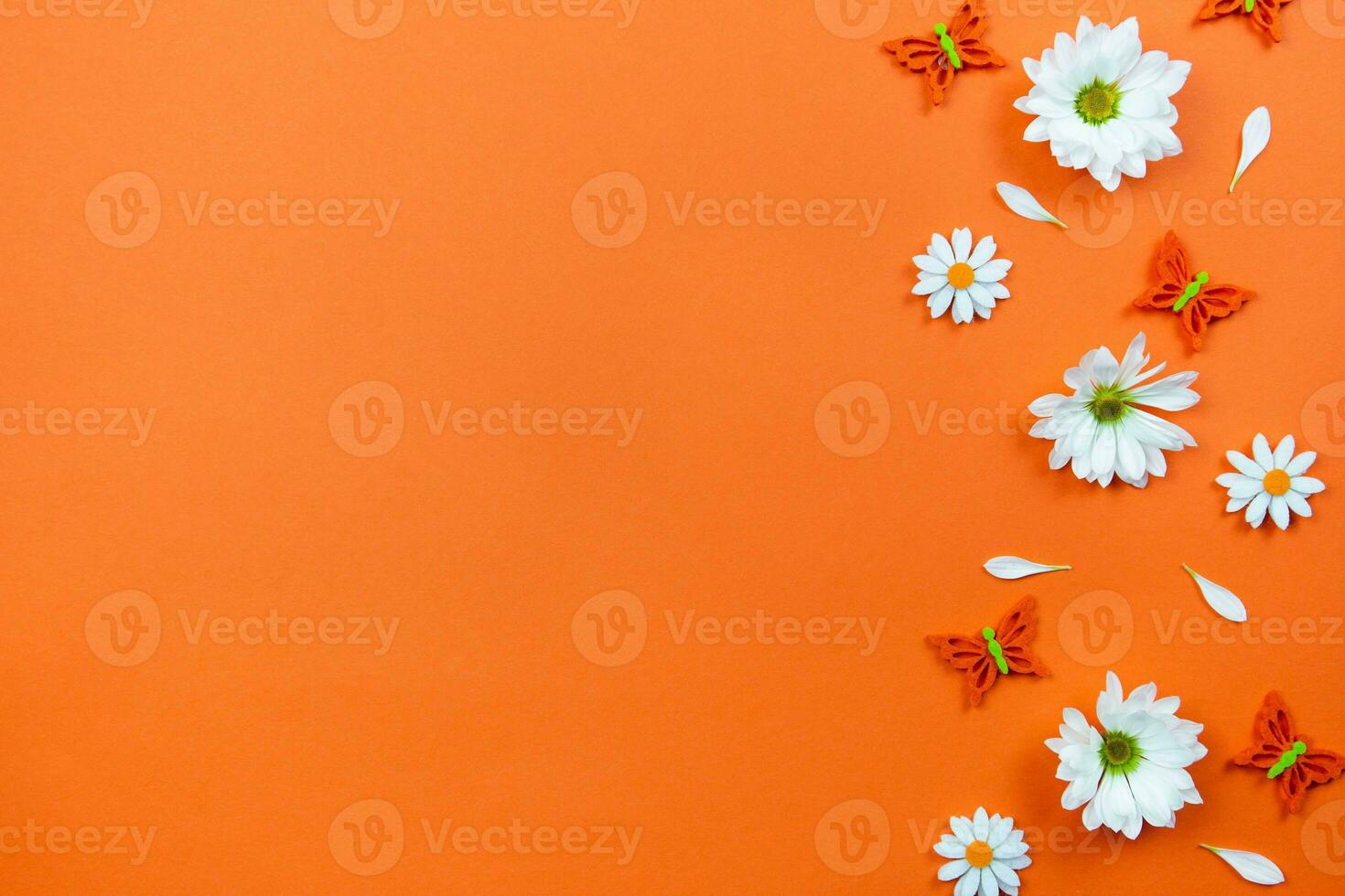 Weiß Gänseblümchen Blumen und Schmetterlinge auf bunt Orange Hintergrund. eben legen Komposition zum Valentinstag, Mütter, International Damen Tag, Geburtstag oder Hochzeit Design. oben Sicht. Kopieren Raum. foto