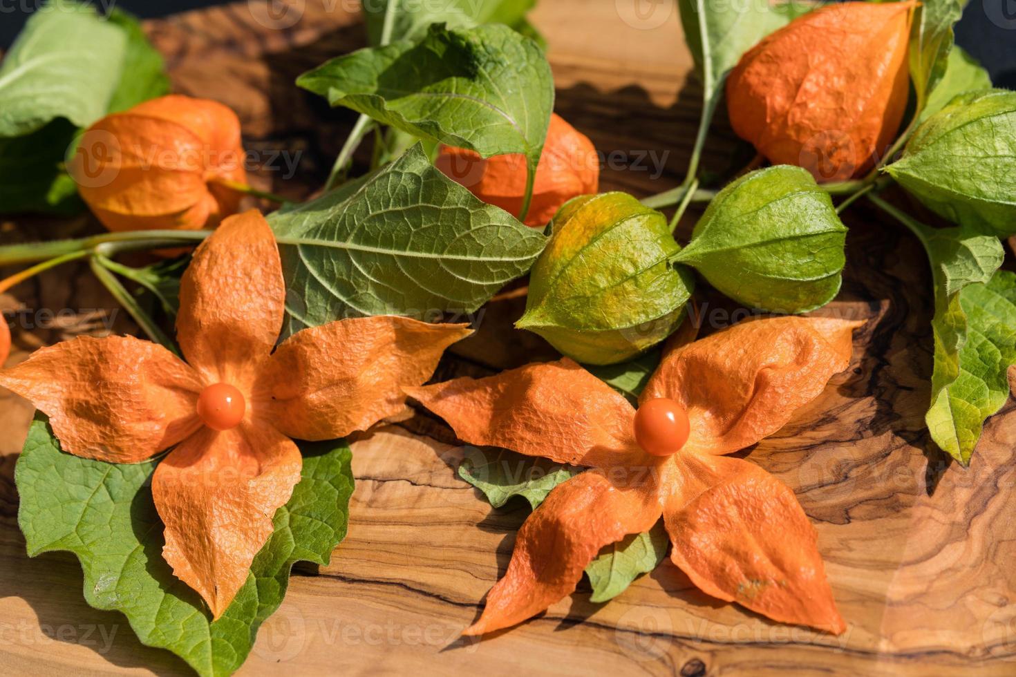 die Orangenfrucht Physalis Peruviana foto