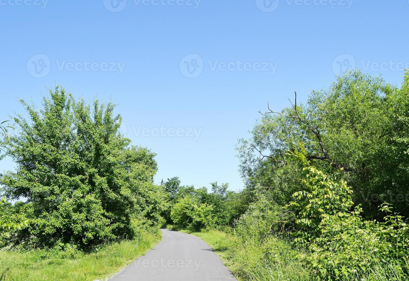 schöne leere Asphaltstraße in der Landschaft auf farbigem Hintergrund foto