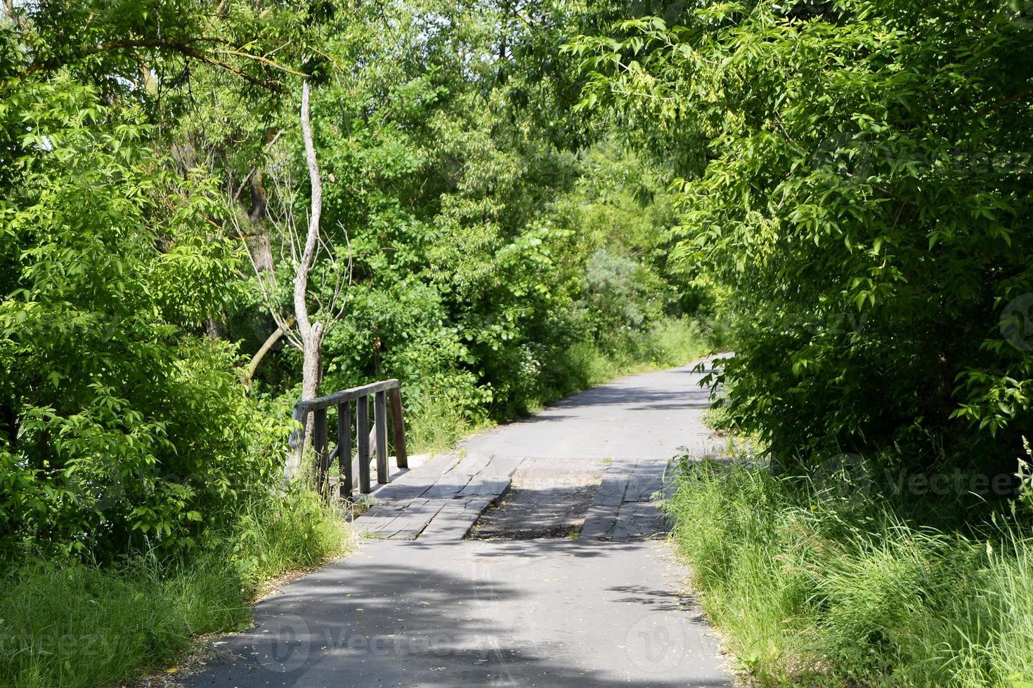 stehende alte Holzbrücke über den Fluss in farbigem Hintergrund foto